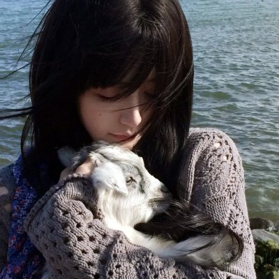 妖精森林的小不点