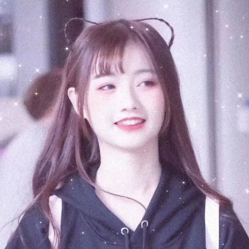 聪明的鸭子